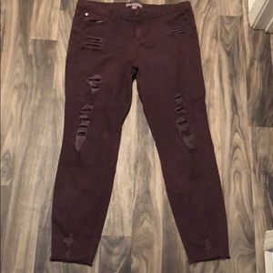 Dark Maroon Jeans size 15